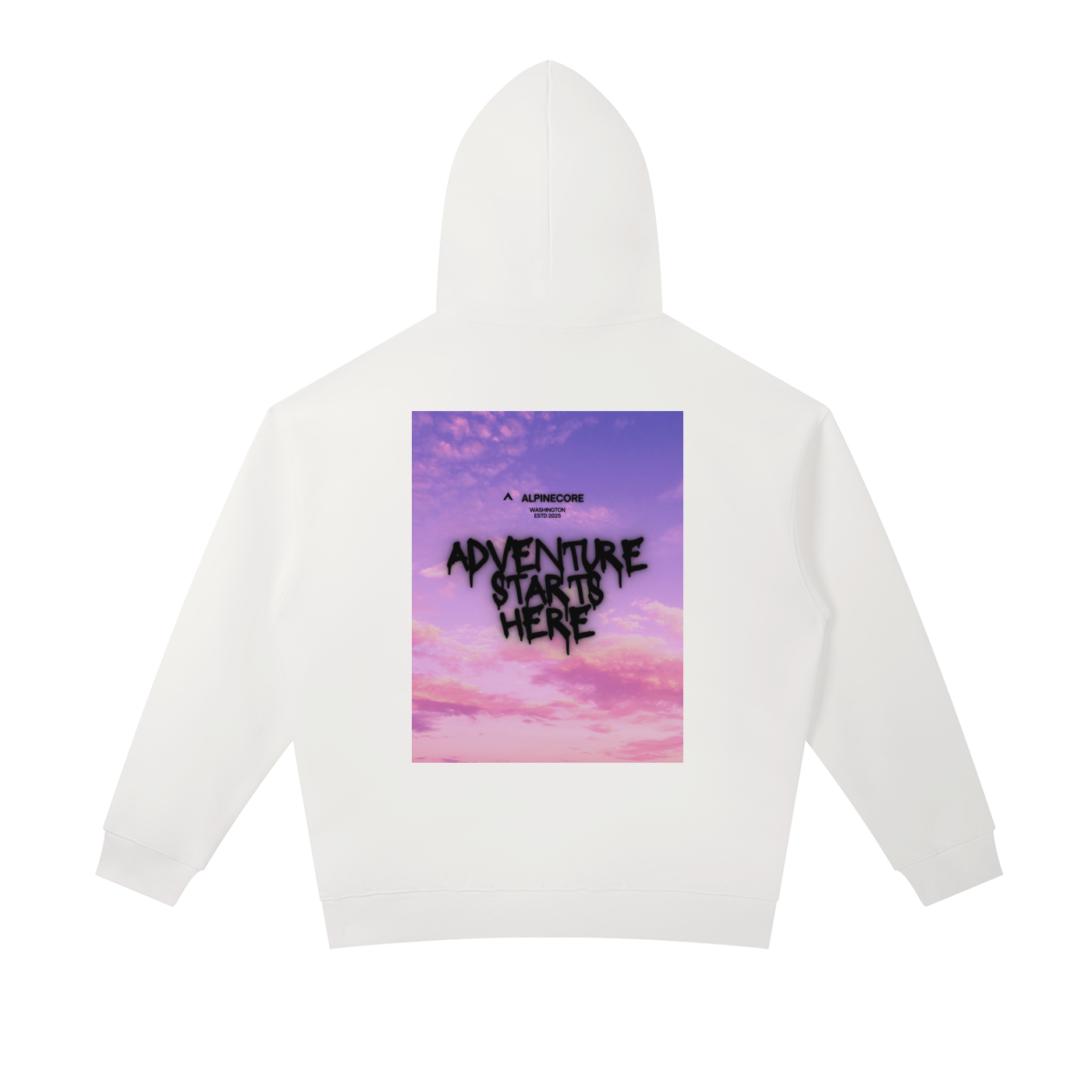 Aventure Starts Here Graphic Hoodie V2